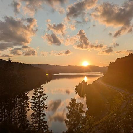 ホテル Hochschwarzwald-Hof シュルッフゼー エクステリア 写真